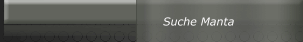 Suche Manta